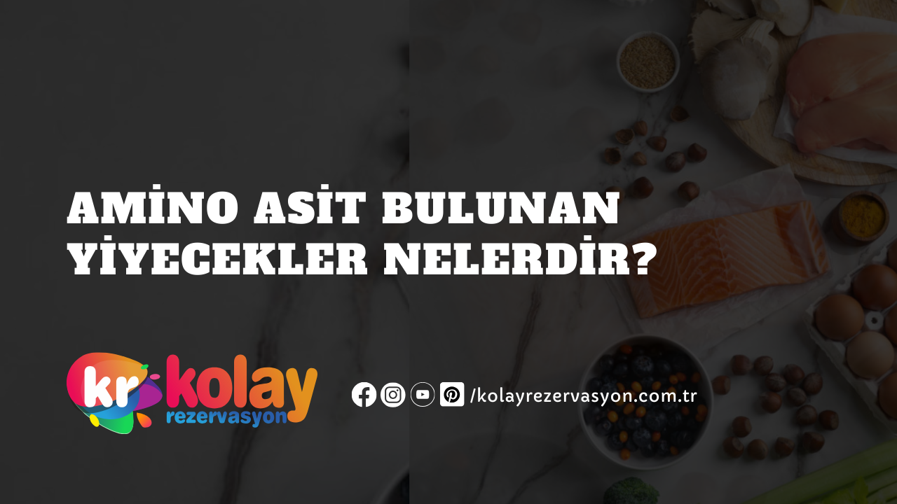 Amino Asit Bulunan Yiyecekler Nelerdir?