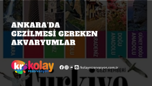 ankarada-gezilmesi-gereken-akvaryumlar/