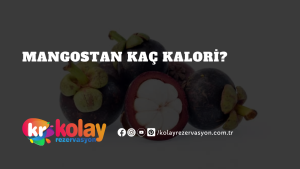 mangostan-kac-kalori