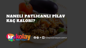naneli-patlicanli-pilav-kac-kalori